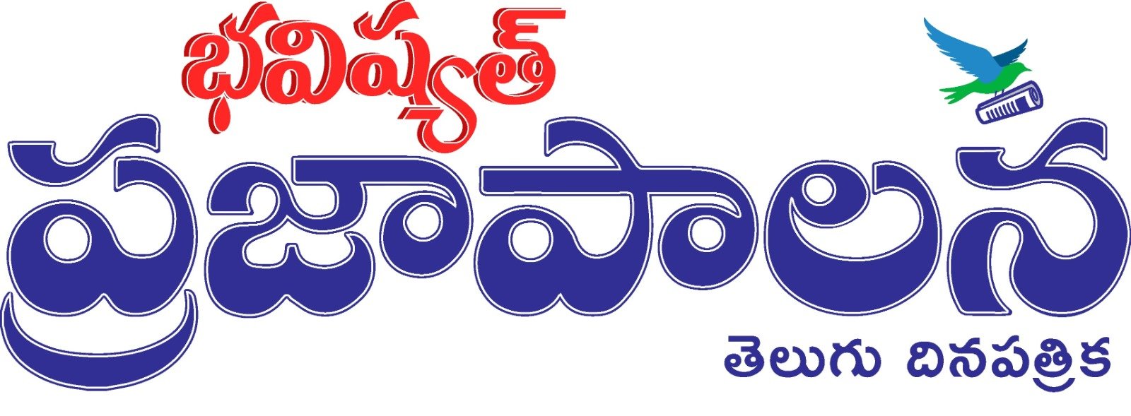 Website Logo